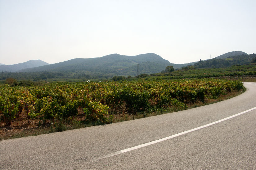 Obraz 266